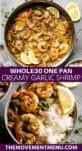 creamy garlic shrimp dish topped off with lemon slices in a pan