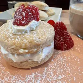 3-Ingredient Yogurt Scones Recipe