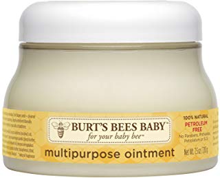 Burt's Bees Multipurpose Ointment