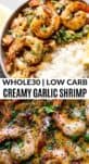 creamy garlic shrimp in a pan with rice