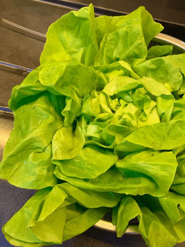 veggie burger sides for kids