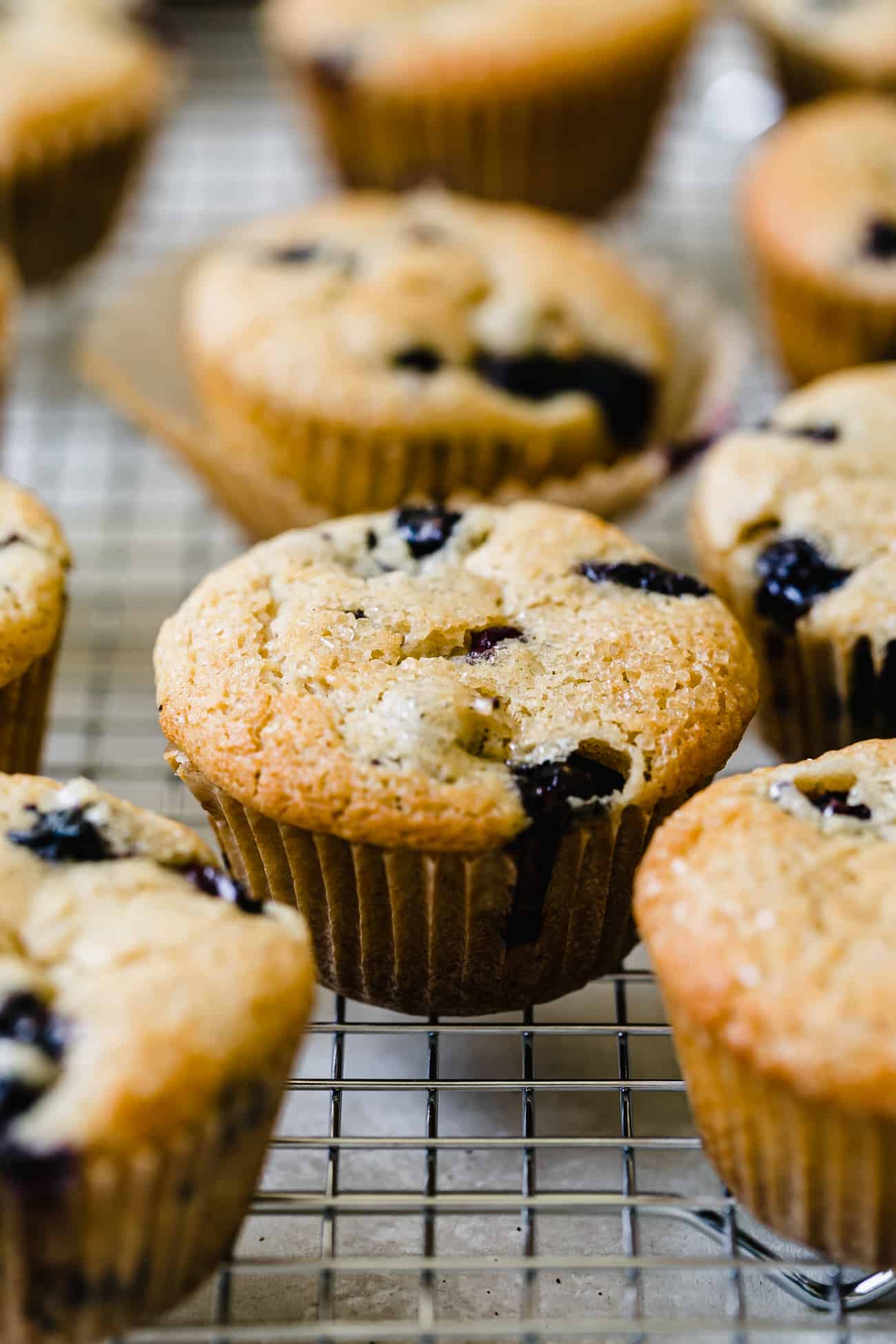 delicious blueberry muffins lined up on a metal wire rack